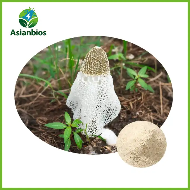 Bamboo Fungus Powder